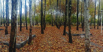 Nazhvan Forest Park, Esfahan