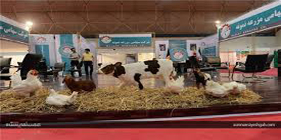 نمایشگاه بین‌المللی صنعت دام و طیور در اصفهان برگزار می‌شود