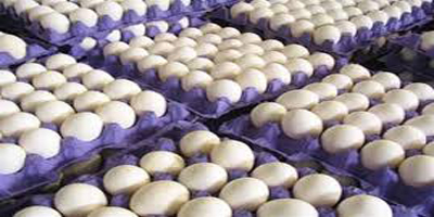 Annual egg exports reach 130,000 tons