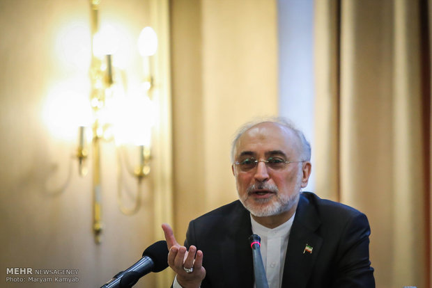 Development of Nuclear Technology Inevitable: Iran’s Salehi