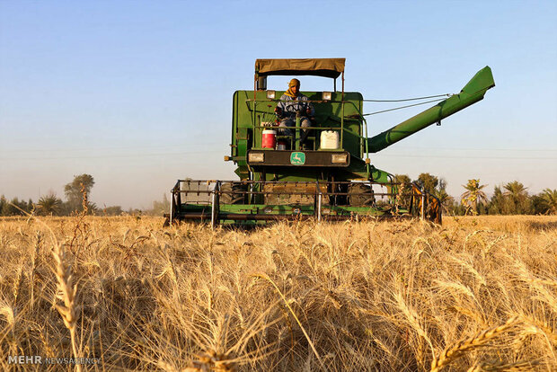 Iran signs MOU with Russia, Kyrgyzstan for transient imports of wheat