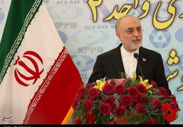 Iran producing more low-enriched uranium daily: Salehi