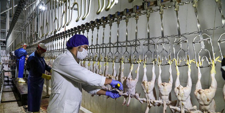 ثبات در بازار گوشت و مرغ اصفهان