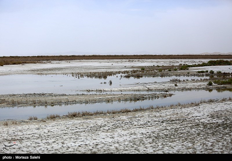 جدال مرگ و زندگی در گاوخونی / آبی که فقط ‌لب‌های تالاب را “تَر” کرد