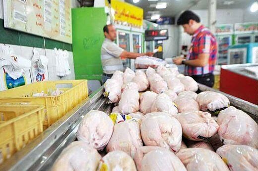 احتمال کاهش تولید مرغ به دلیل نایابی نهاده ها
