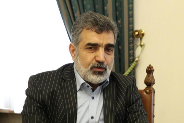 Iran to adopt ‘smart response’ toward Natanz incident