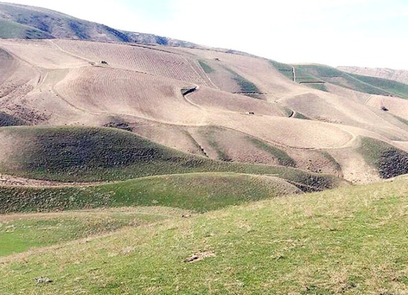 برگزاری دوره آموزشی ماموران یگان حفاظت از اراضی ملی