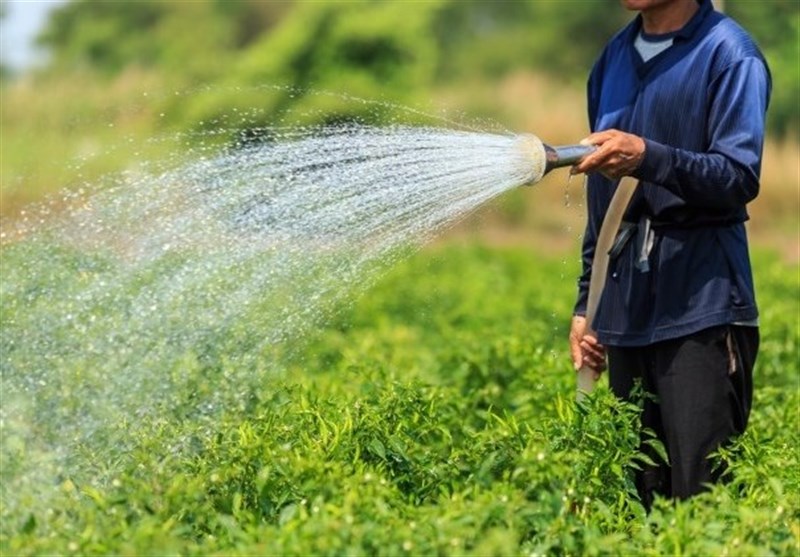 Iranian, FAO Experts Cooperate to Reduce Agricultural Water Consumption