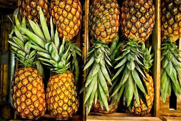 چرا آناناس در بازار نایاب شد؟