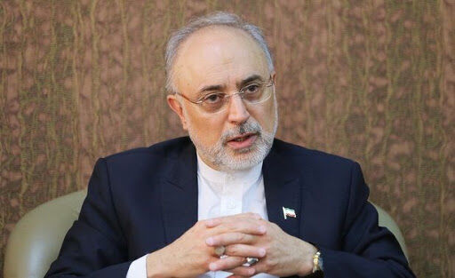 Leader’s decree on religious prohibition of A-bomb, Iran’s resolute stand: Salehi