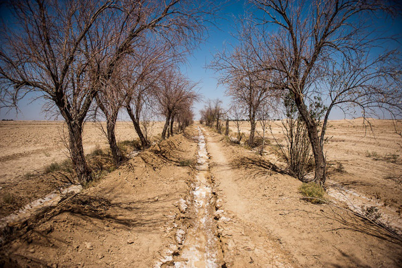 تیغ خشکسالی بر گلوی اصفهان