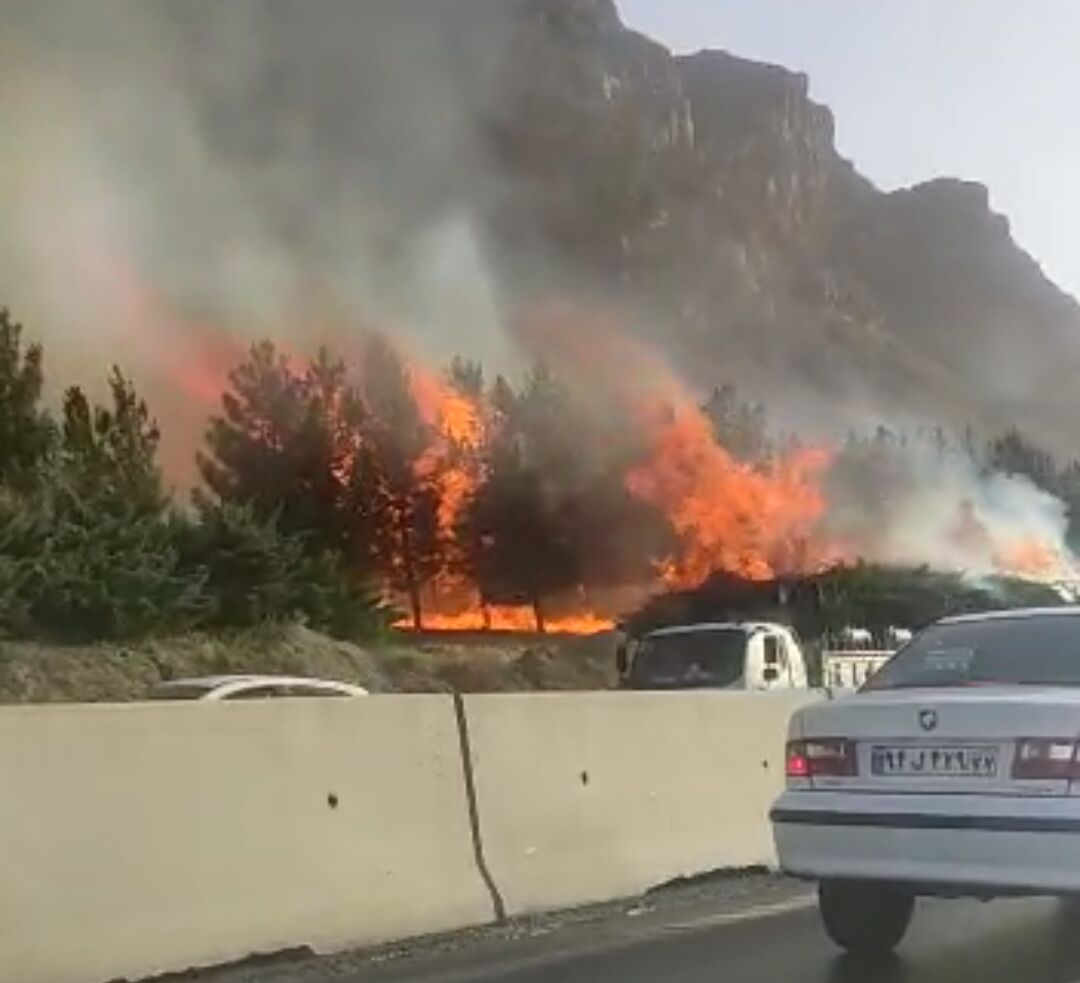 حضور نیافتن آتش‌نشانی در آتش‌سوزی درختان کوه صفه اصفهان خلاف واقع است