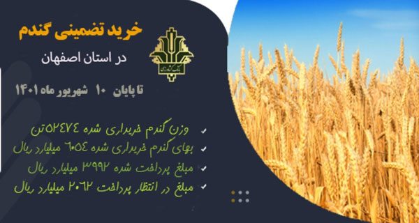 تا دهم شهریور ۶ هزار و ۵۴ میلیارد ریال گندم از کشاورزان استان اصفهان خریداری شد