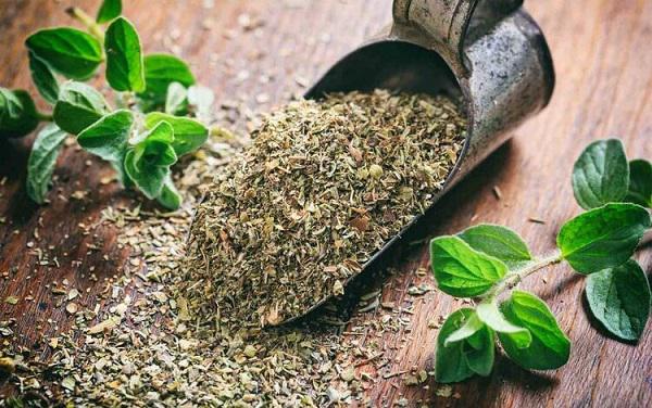 New regulations set for medicinal plants export