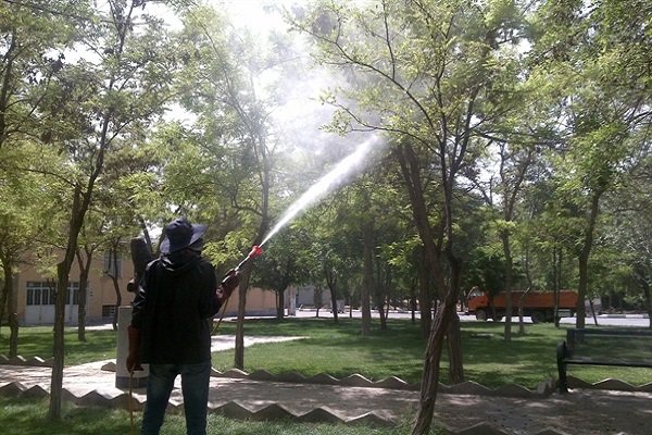 موفقیت شهرداری منطقه ۷ در زمینه توسعه فضای سبز