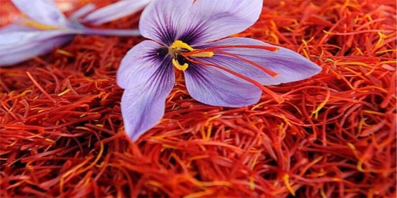 Saffron exports at over $207m in year to March