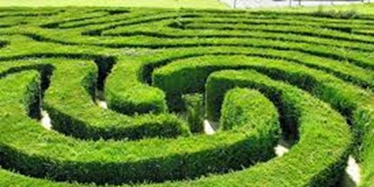 وقوع یک اتفاق خوب در باغ گلها