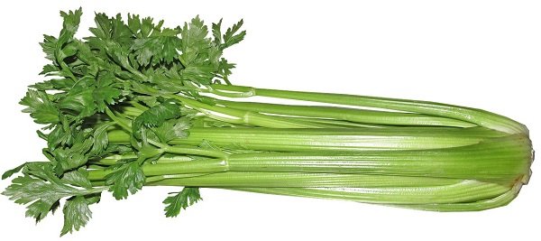 Can Celery Juice Help You Lose Weight?