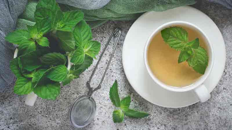 What to Know About the Benefits of Peppermint Leaf
