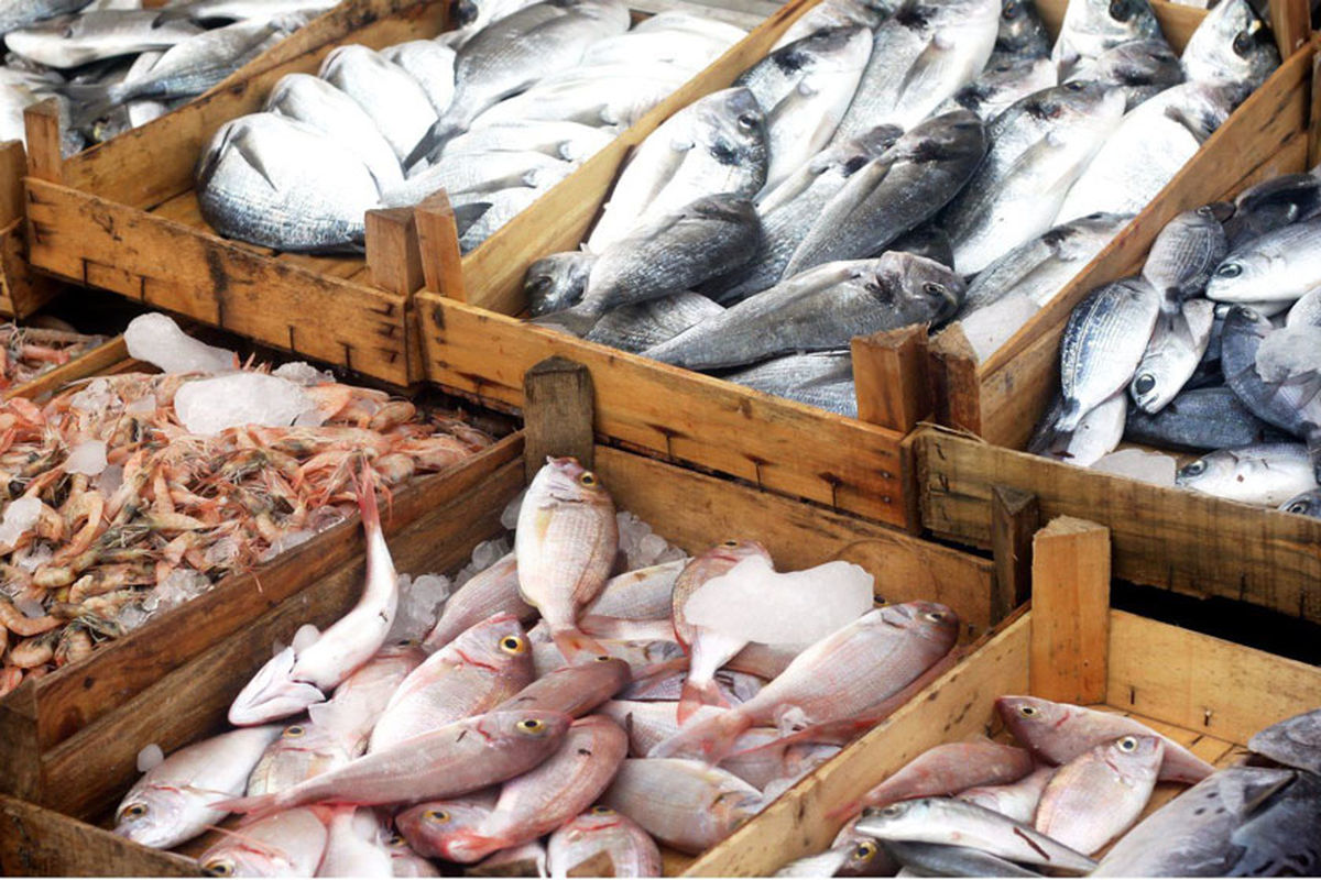 Annual fishery exports exceed 210,000 tons