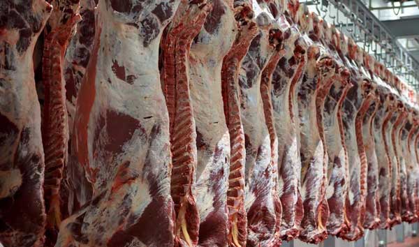 Monthly red meat production stands at 37,000 tons