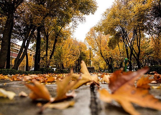 دمای اصفهان بین ۸ تا ۱۲ درجه کاهش می‌یابد