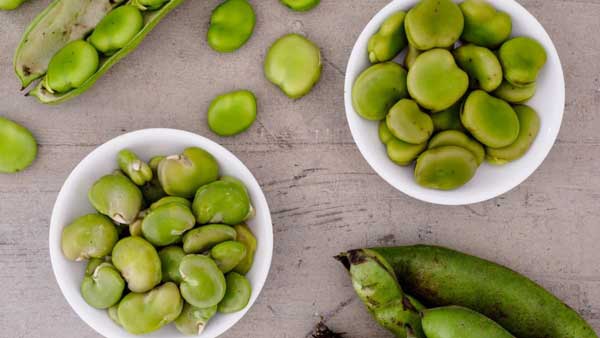 ۹ Impressive Health Benefits of Fava Beans