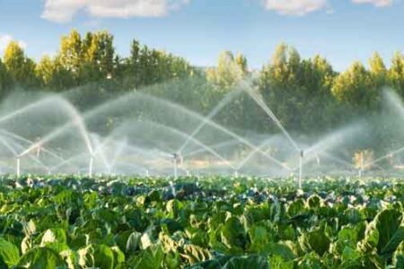 ۹۰% of farmlands equipped with modern irrigation systems in Tehran province