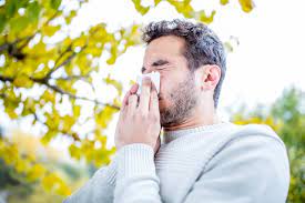 Can Allergies Cause a Fever?