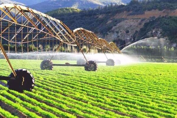 Iran’s agricultural production reaches 137 million tons