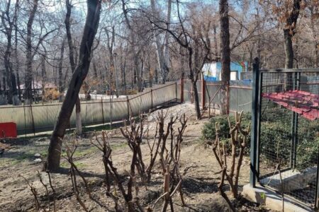 حساسیت برای ساخت مسجد در پارک قیطریه جای تعجب دارد