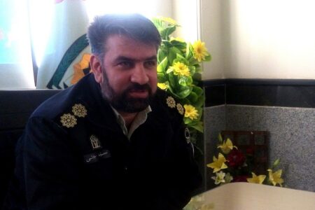 سرقت نافرجام از نوع زینتی 