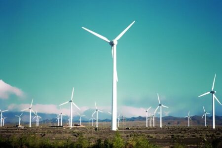 Major wind power plant opens in eastern Iran