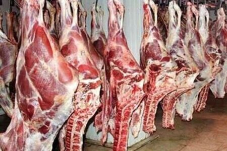 قیمت واقعی گوشت ۵۷۰ هزار تومان است