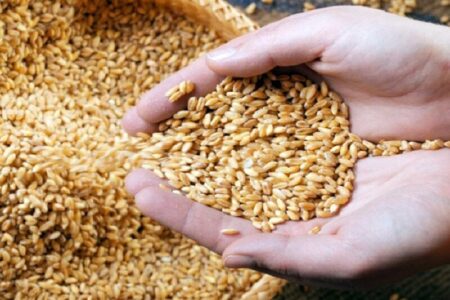 پرداخت زکات فرصت مناسبی برای رفع نیاز محرومان