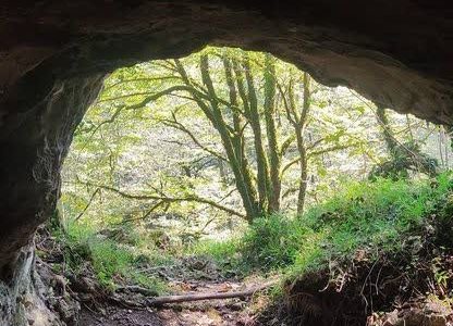 شناسایی یک غار از ماقبل تاریخ 