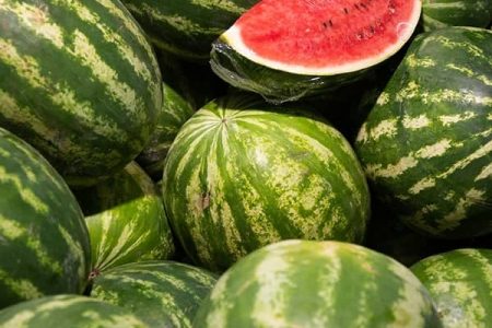 Watermelon export stands at $139m in 7 months