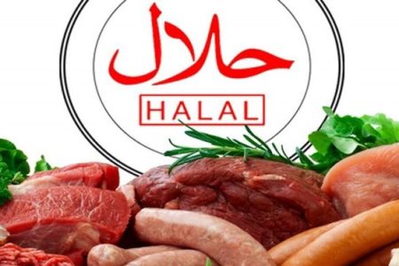 برگزاری یک نمایشگاه خوردنی