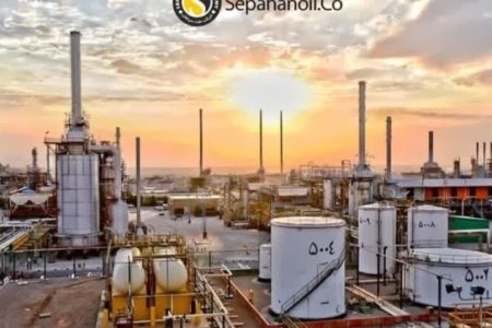 استفاده از ترکیب خوراک جدید در تولید محصول روغن پایه صادراتی