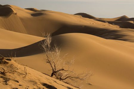 ورود به کویر مرنجاب و سیازگه ممنوع است