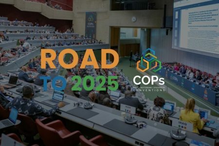Iran attends 2025 BRS COPs in Geneva