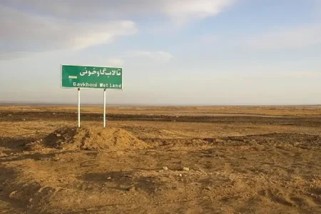 بحران خشکسالی تالاب بین‌المللی گاوخونی