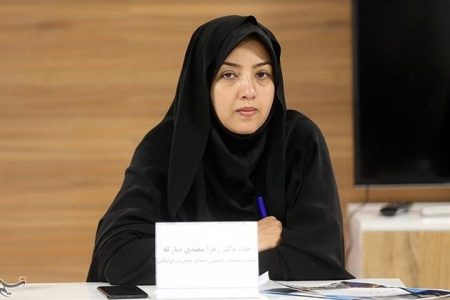 جبران خسارت صنایع ناشی از تجاوزات اخیر