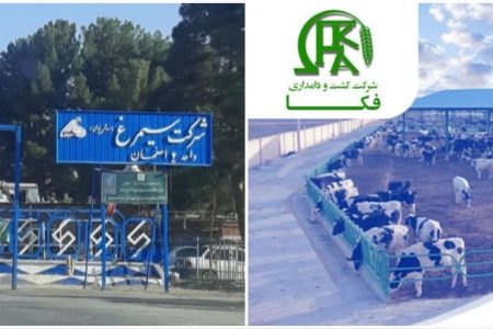 نفس ساکنان شهر به شماره افتاده است