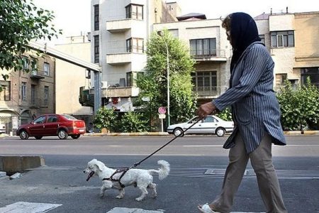بررسی چالش‌های محیط‌زیستی و حقوقی سگ‌‍گردانی در اصفهان
