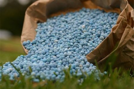 کمبود کود در اصفهان؛ چالش کشاورزان و تهدید امنیت غذایی