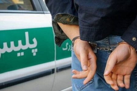 دستگیری عاملان رعب و وحشت در پارک ناژوان کاشان