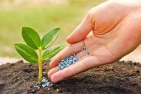 توزیع ۲۵ هزار تن کود یارانه‌ای در اصفهان طی نیمه نخست ۱۴۰۴