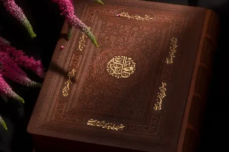 نهج‌البلاغه دانشمندان جهان را مجذوب خود کرده است
