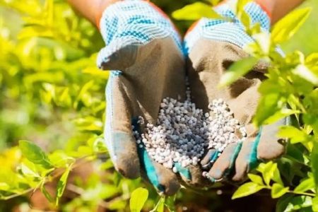 توزیع بیش از ۱۷ تن انواع کودهای شیمیایی یارانه‌دار بین کشاورزان و کارگزاران
